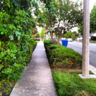 sidewalk